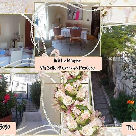 Bed and Breakfast Le Mimose Pescara Exterior foto